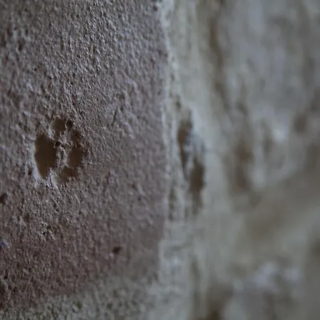 Séjour à la ferme San Fedele *